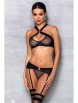 Комплекты белья артикул: Amanda set Black от Passion lingerie - вид 1